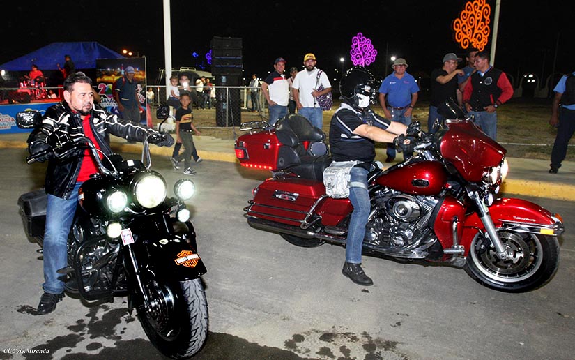 HARLEY1