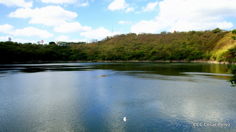 ambiente