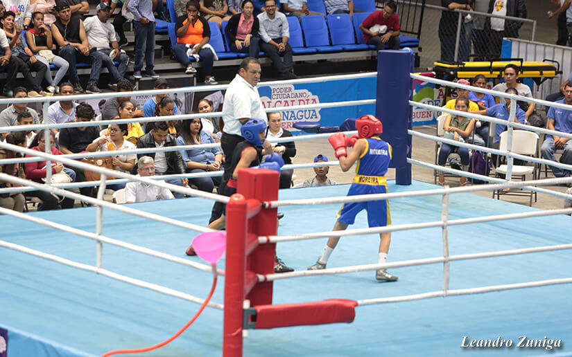 boxeo2