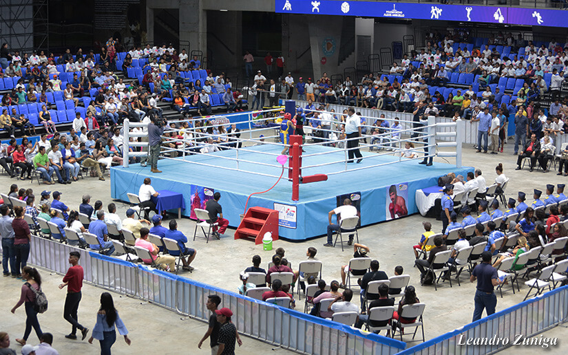 boxeo2