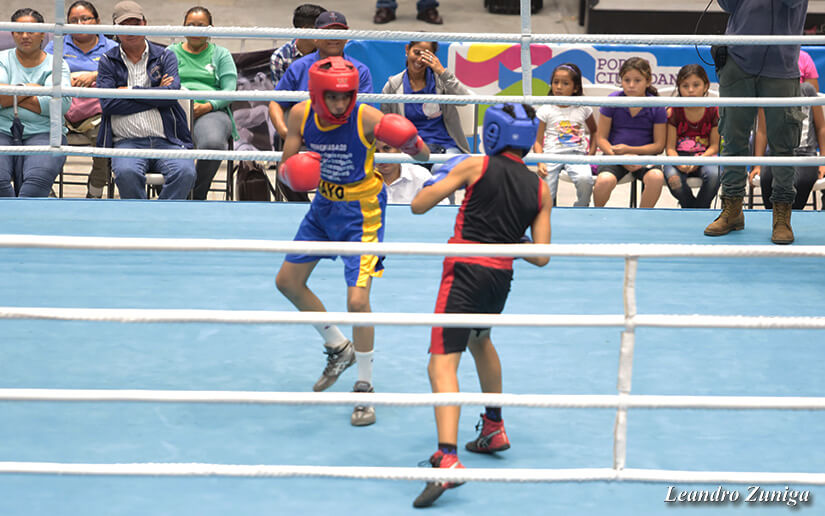 boxeo2