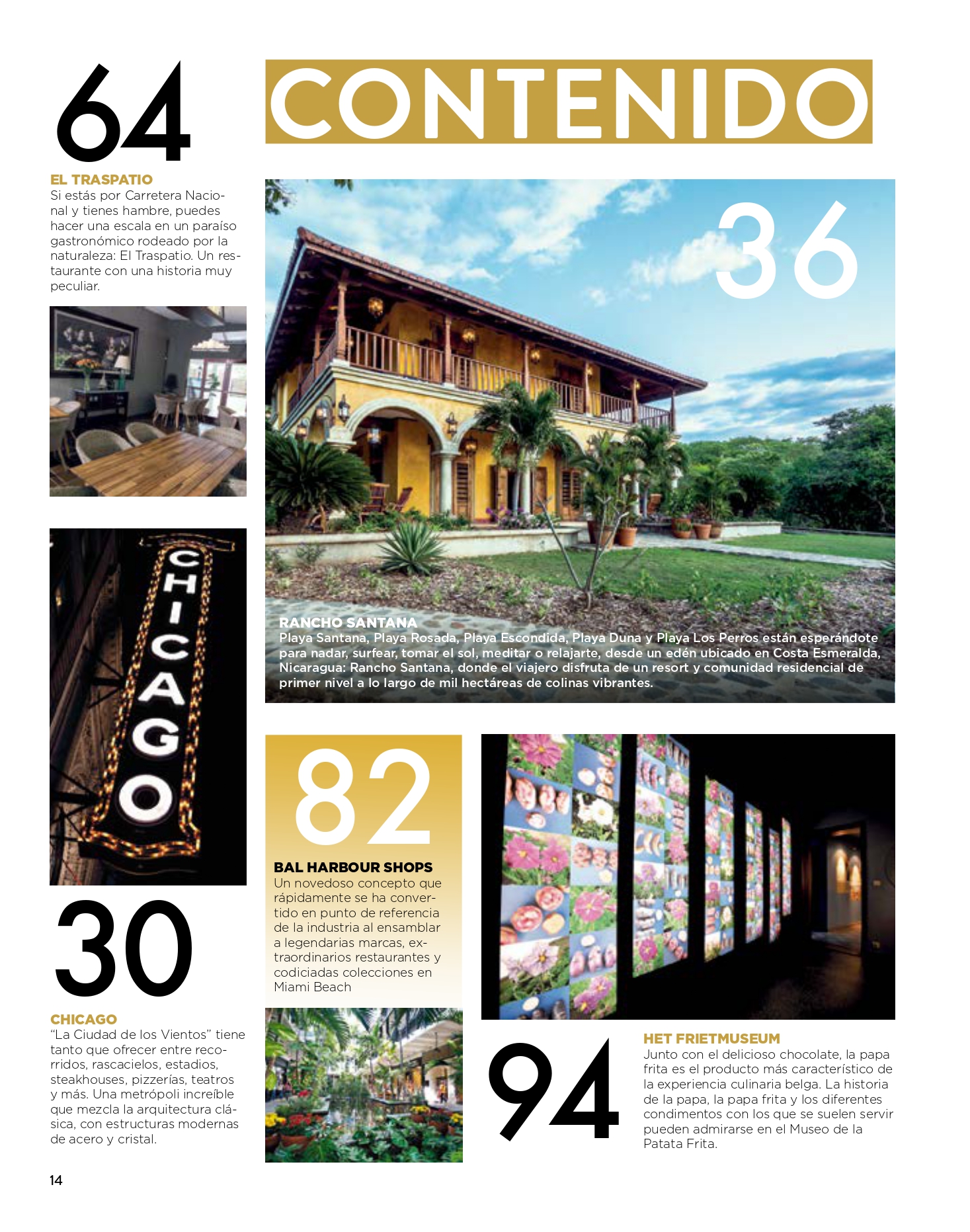 revista