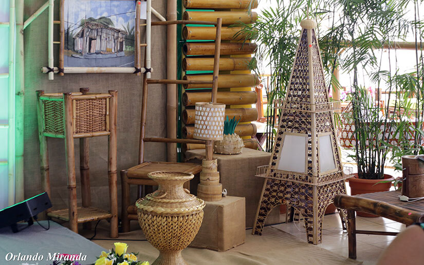 bambu