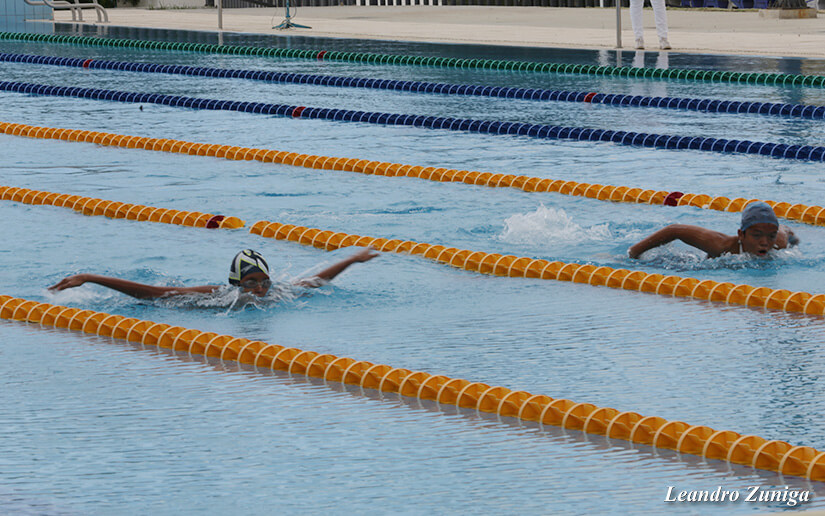 natacion