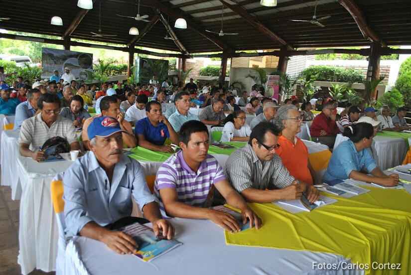 foro-peces