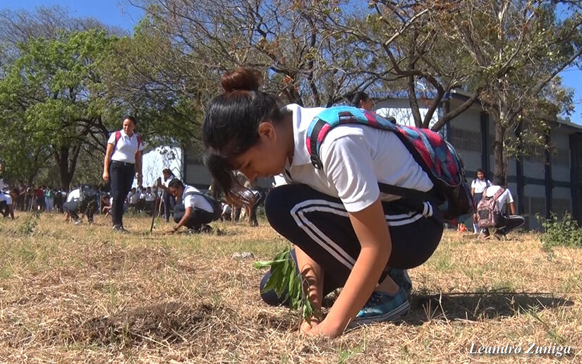 escuelas-concurso-ambiente