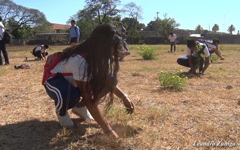 escuelas-concurso-ambiente
