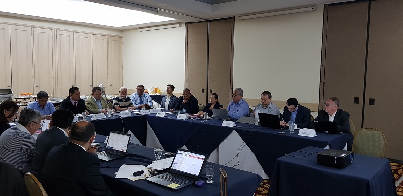 cocesna