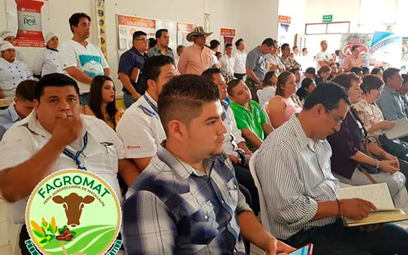 FERIA2
