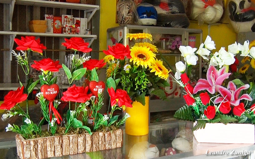 mercado-regalo-madres