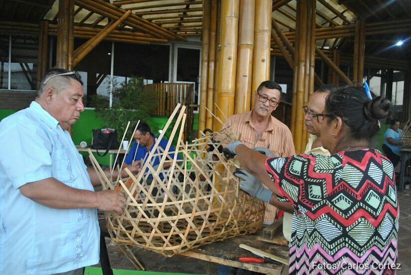 bambu
