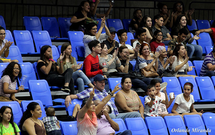 voleibol