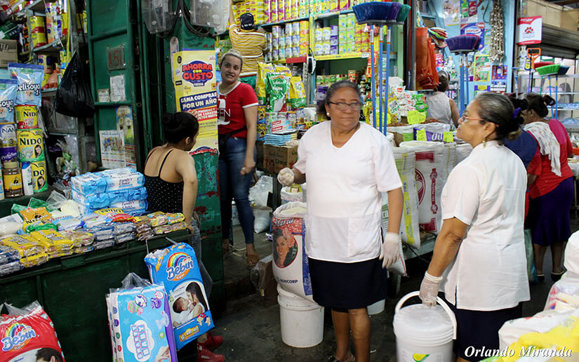 jornada-desratizacion-managua