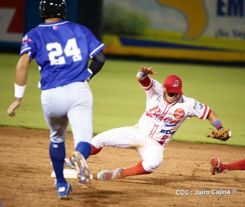 beisbol-tigres-boer