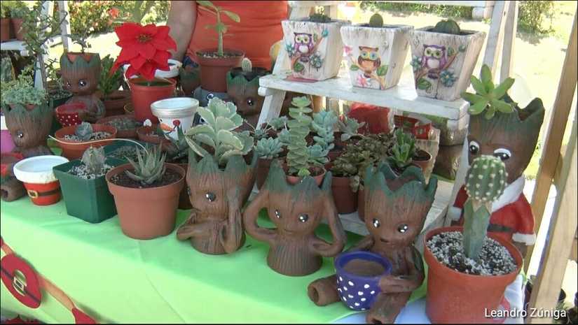 feria-eco