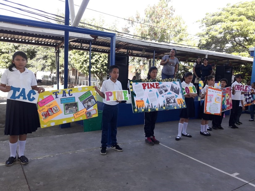 educacion