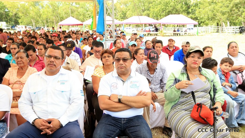 estrategia-produccion-ganado