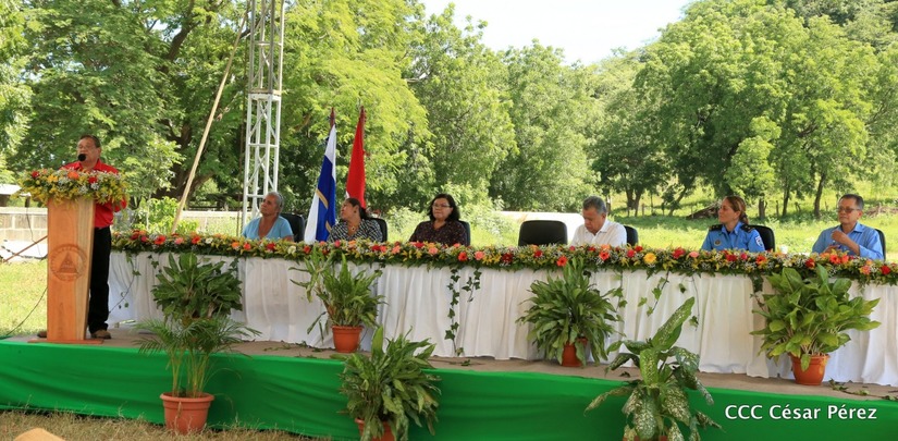 estrategia-produccion-ganado