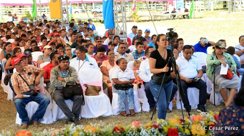 estrategia-produccion-ganado