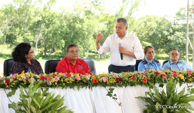 estrategia-produccion-ganado