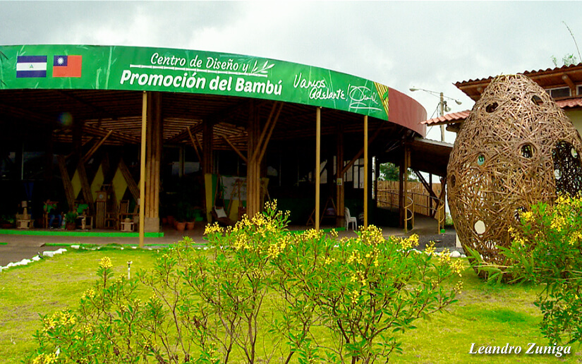 BAMBU
