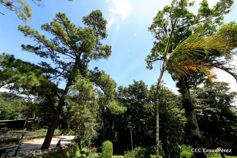 selva-negra-matagalpa