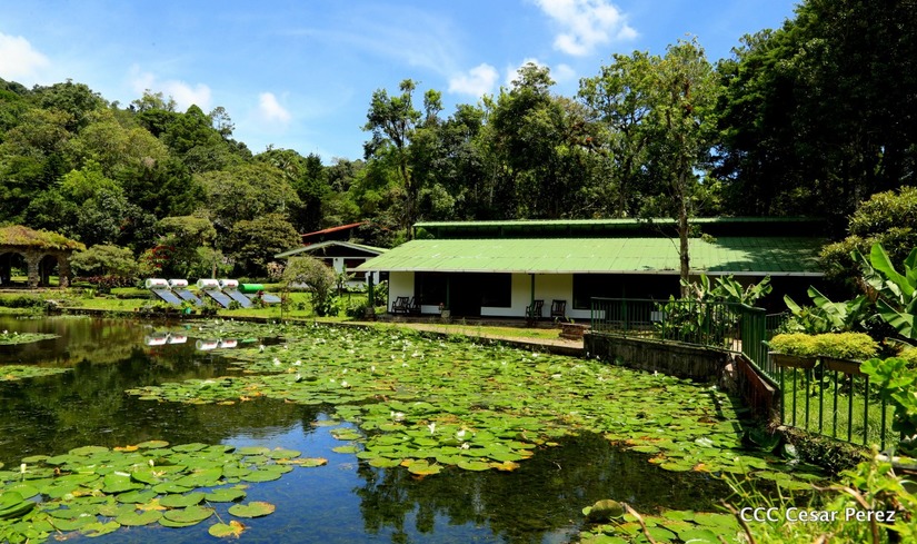 selva-negra-matagalpa