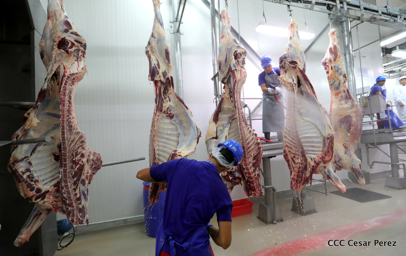 inversion-matadero