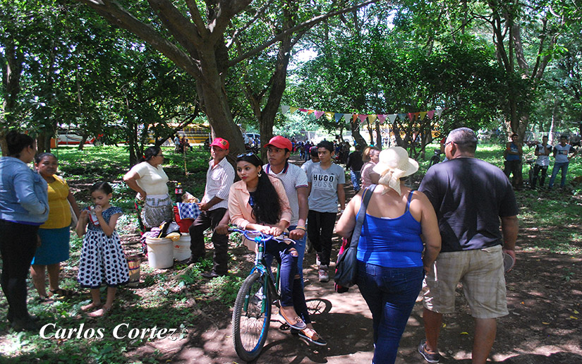 POSOLTEGA14
