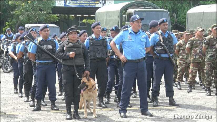 seguridad-cosecha-cafetalera