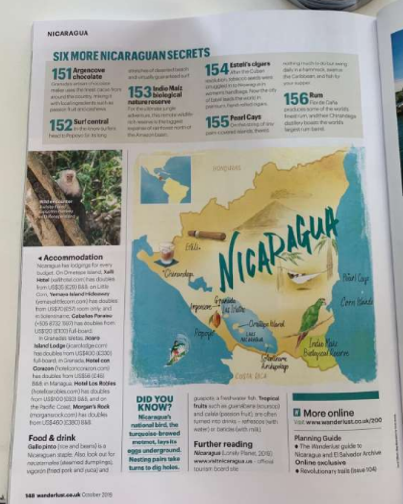 revista