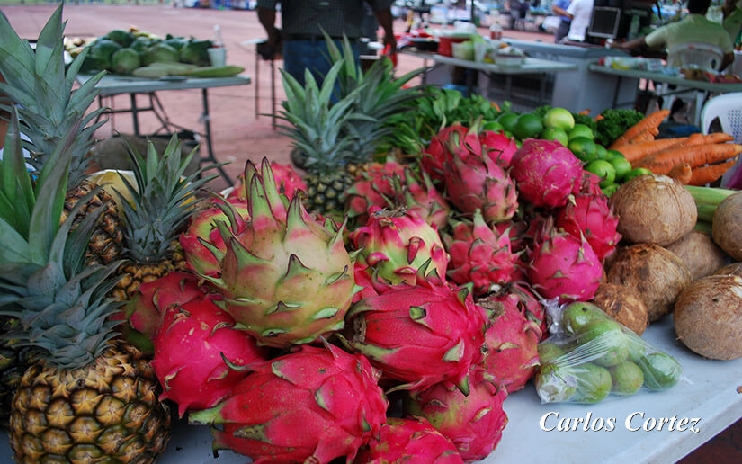 produccion-cosecha-nicaragua