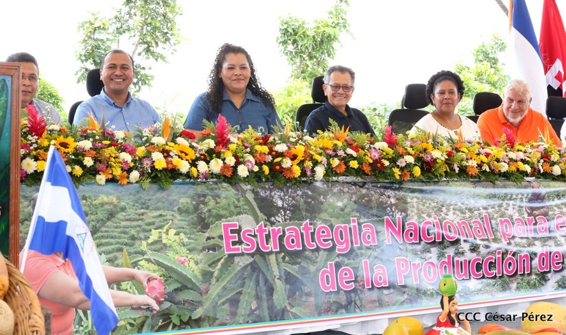 frutas