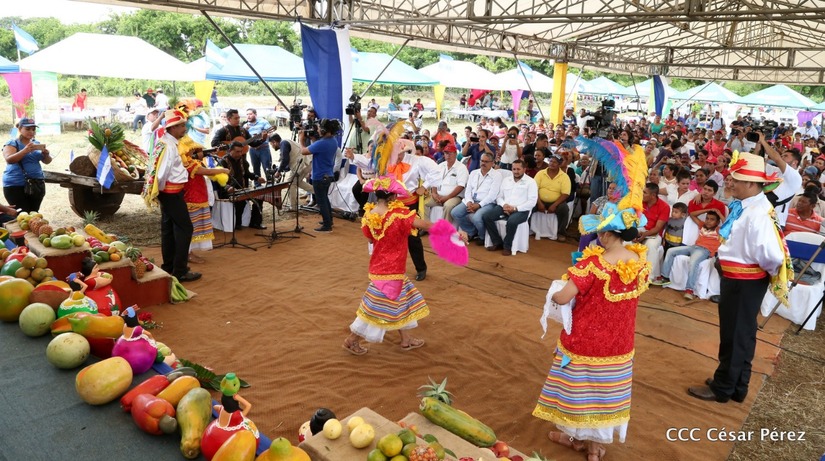 frutas