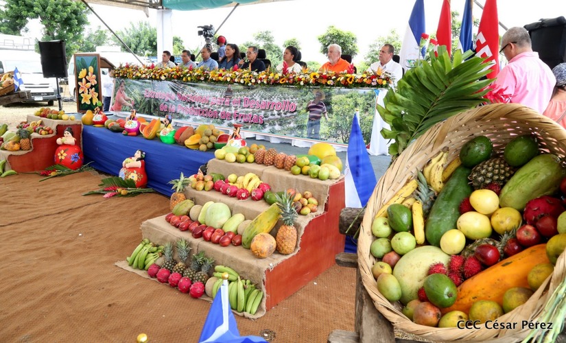 frutas