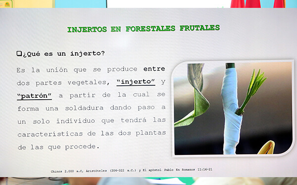 inafor realiza simposio en técnicas de enjertación