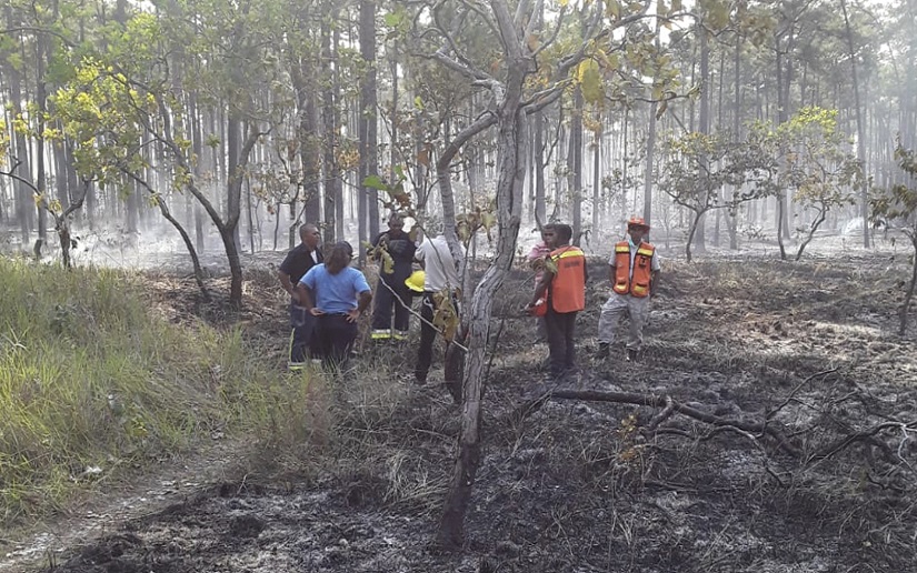 INCENDIO2