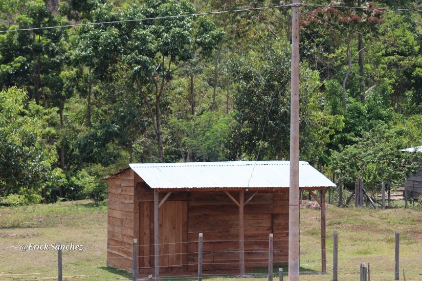 ENERGÍA1