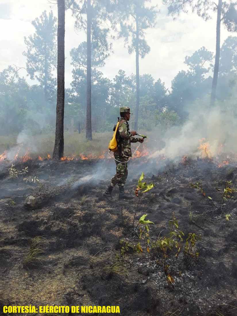 incendio-forestal