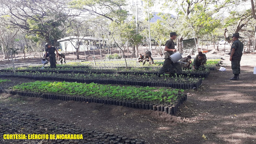 vivero2