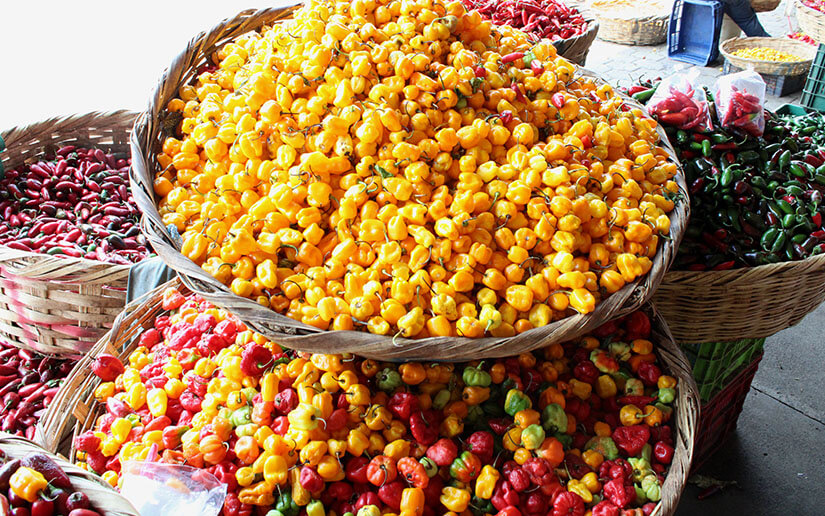 MERCADO