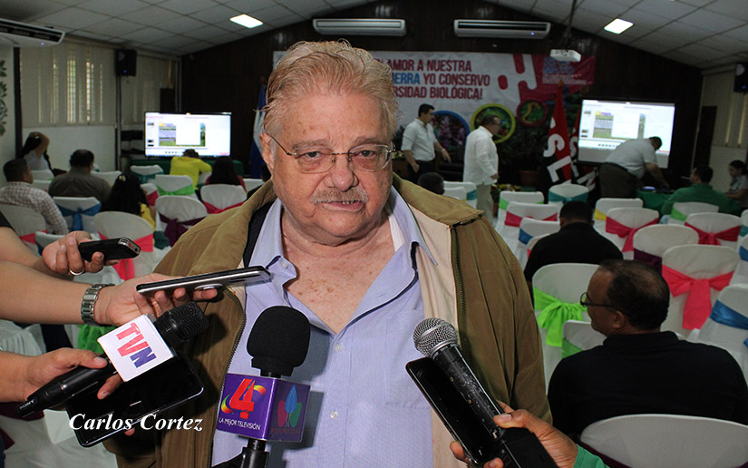 congreso-virtual-marena
