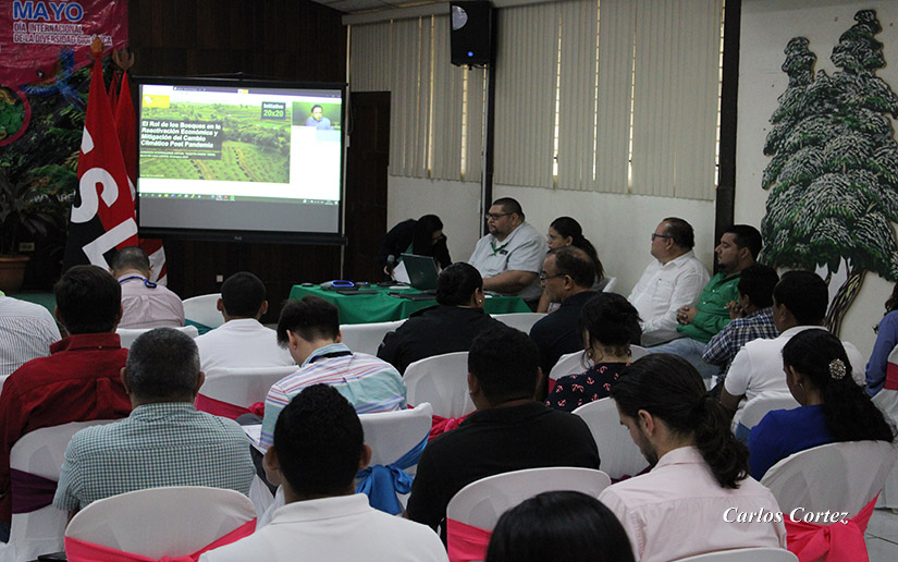 congreso-virtual-marena