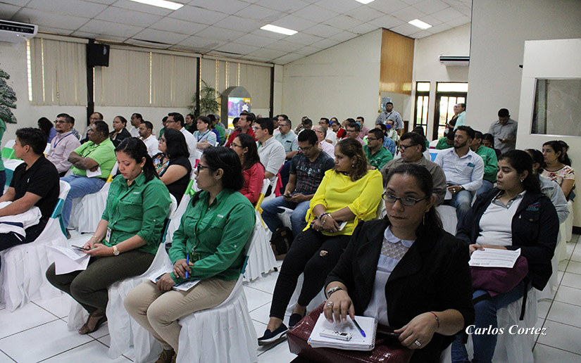 congreso-virtual-marena