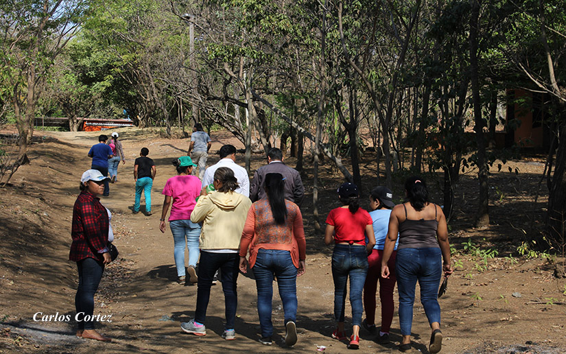 visitas-covid-casa-a-casa