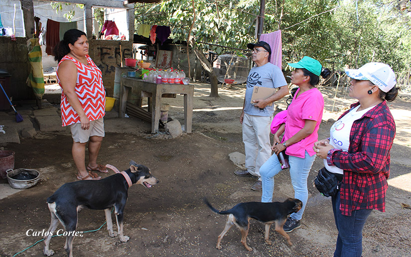 visitas-covid-casa-a-casa