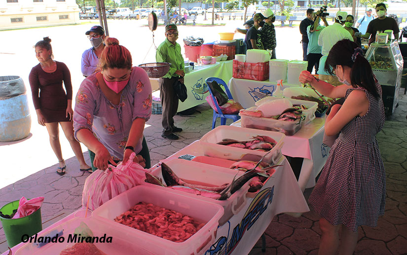 feria-mar-inpesca