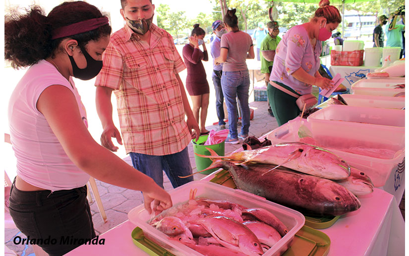 feria-mar-inpesca