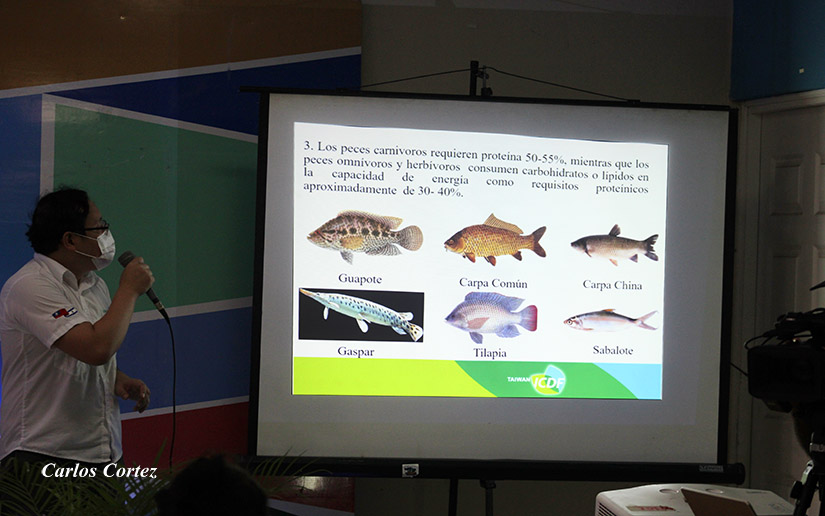 acuicultura