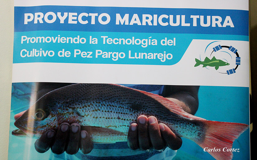 acuicultura